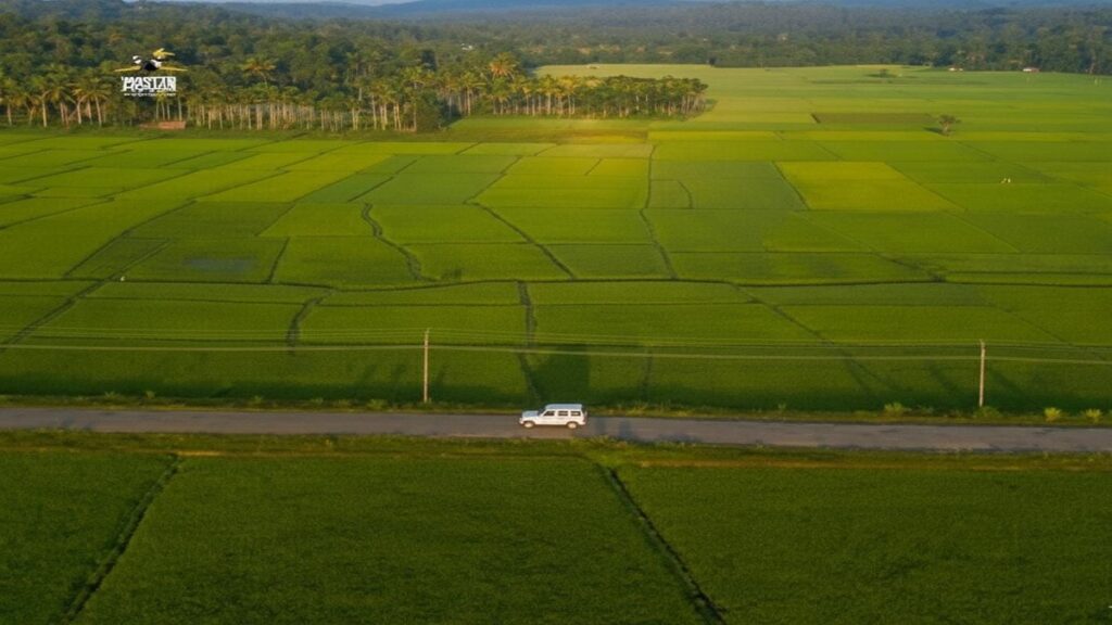 Tourists visiting the scenic paddy fields and natural beauty of Chekadi village in Wayanad